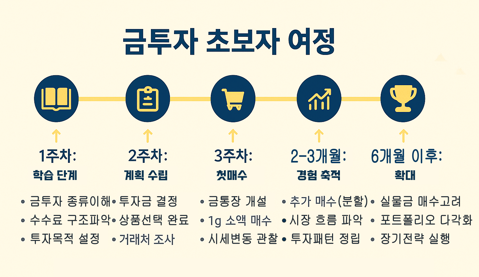 금투자 초보자 여정 타임라인 (1주차~6개월)